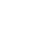 Icon — VinYork Leathers