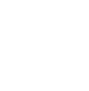 Icon — VinYork Leathers