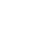 Icon — VinYork Leathers